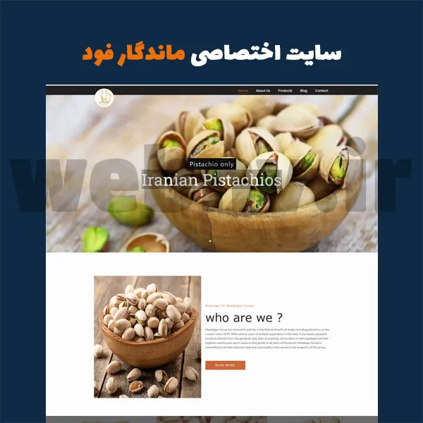 نمونه طراحی سایت دو زبانه صادرات پسته و زعفران