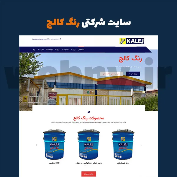 نمونه طراحی سایت شرکتی رنگ کالج